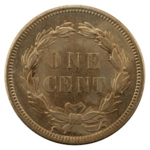 Penny Coin Value Checker 6 Indian-Head Reverse