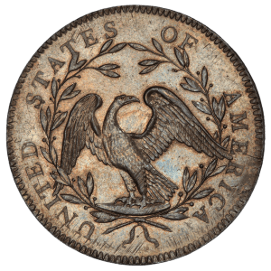 Dollar Value Checker 2 Flowing Hair Dollar reverse