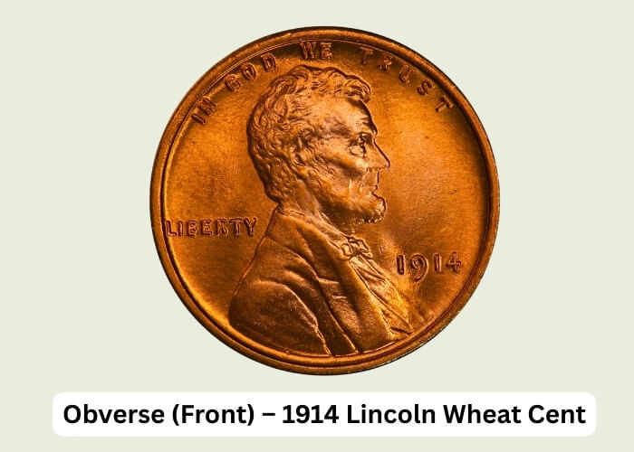 1914 Wheat Penny Value: Worth Guide for All Mint Marks 2 Obverse (Front) – 1914 Lincoln Wheat Cent