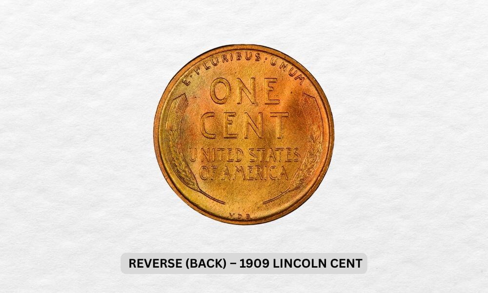 1909 Wheat Penny Value: Complete Worth Guide & Rare Varieties 3 Reverse Back – 1909 Lincoln Cent