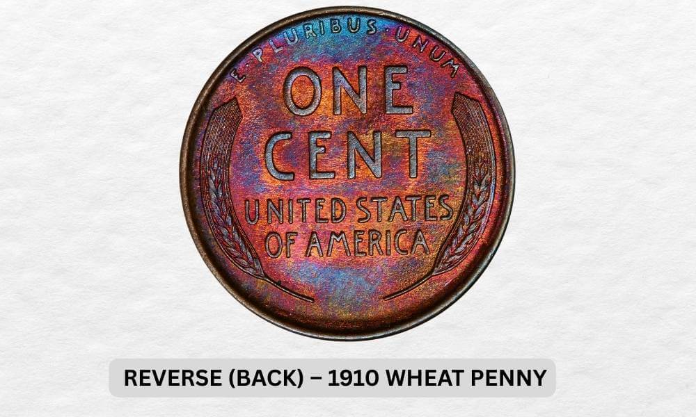 1910 Wheat Penny Value: What's Your Coin Worth Today? 3 Reverse (Back) – 1910 Wheat Penny