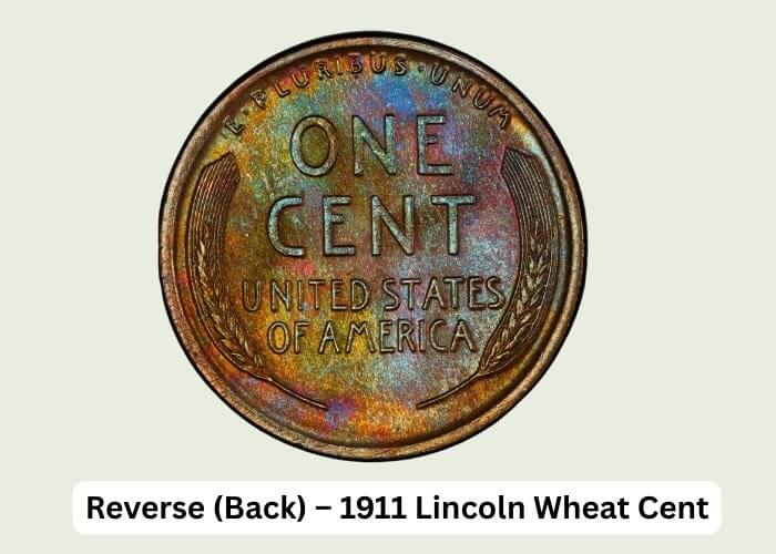 1911 Wheat Penny Value Guide: Rarity, Worth & Key Dates 3 Reverse (Back) – 1911 Lincoln Wheat Cent