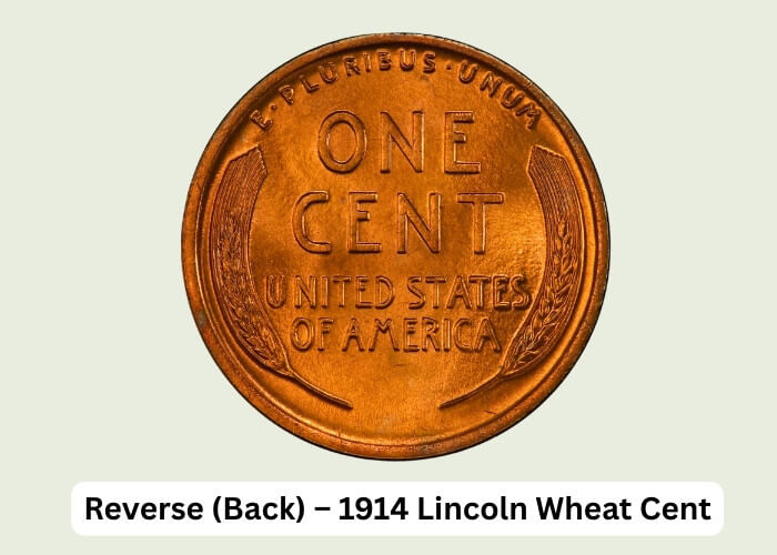 1914 Wheat Penny Value: Worth Guide for All Mint Marks 3 Reverse (Back) – 1914 Lincoln Wheat Cent