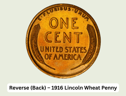 1916 Wheat Penny Value: Complete Price Chart & Rare Varieties 3 Reverse (Back) – 1916 Lincoln Wheat Penny