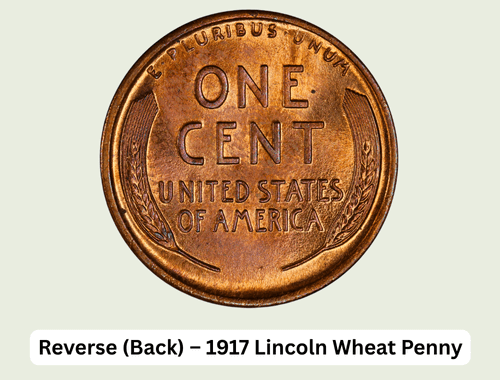 1917 Wheat Penny Value: Worth Guide & Investment Potential 3 Reverse (Back) – 1917 Lincoln Wheat Penny