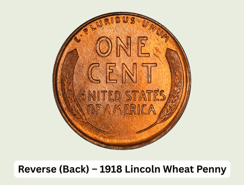 1918 Wheat Penny Value: Complete Worth Guide & Price Factors 3 Reverse (Back) – 1918 Lincoln Wheat Penny