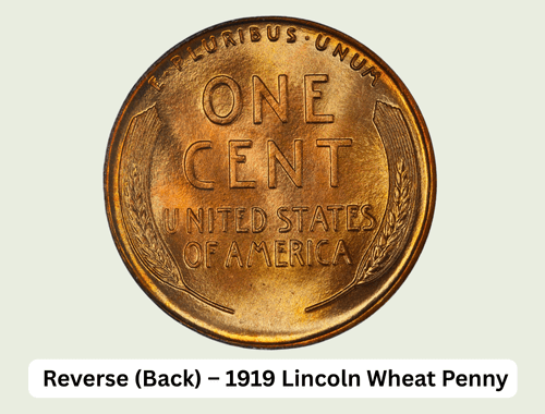 1919 Wheat Penny Value: Expert Price Guide & Rarities 3 Reverse (Back) – 1919 Lincoln Wheat Penny