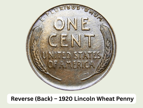 1920 Wheat Penny Value: Worth Chart, Rarities & Mint Marks 3 Reverse (Back) – 1920 Lincoln Wheat Penny